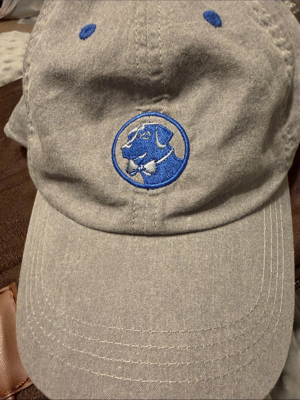 Southern Proper Gray Baseball Cap with Blue Embroidered Dog
